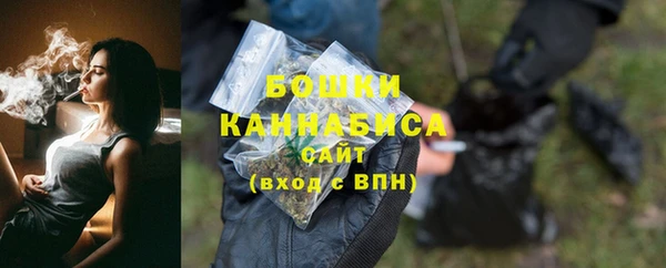 ешки Осинники