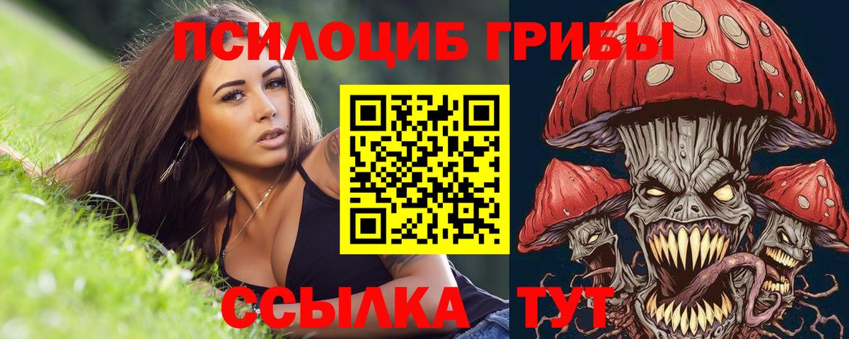 как найти закладки  Рузаевка  Псилоцибиновые грибы Psilocybine cubensis 