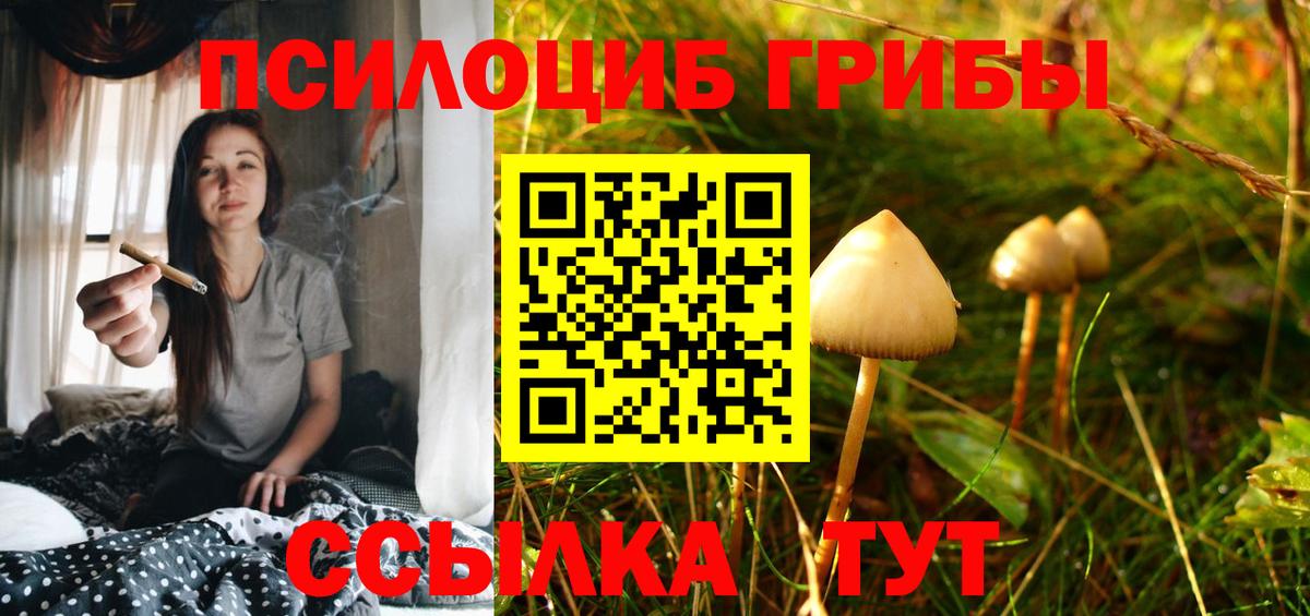 цены   Галлюциногенные грибы Cubensis  Псилоцибиновые грибы ЛСД  Вход с VPN  Рузаевка 